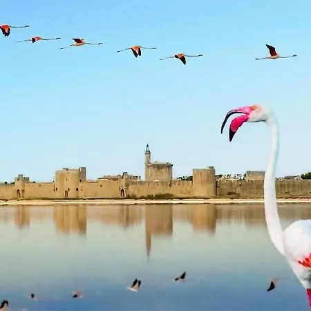 Pet Friendly In Dom wakacyjny *